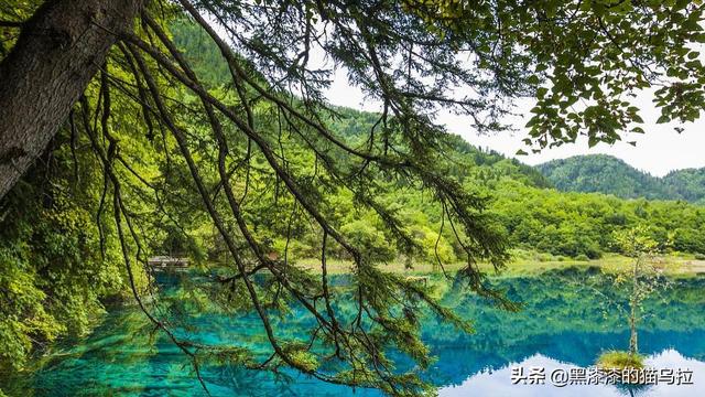 :九寨溝是什么地方？九寨溝在什么地方？