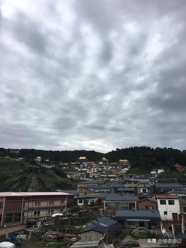 國內(nèi)八月份旅游七至十天有什么好的推薦？